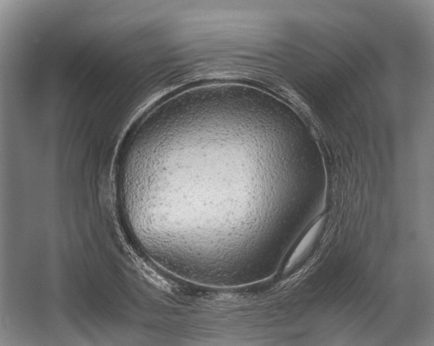 X0000062620787200601041004