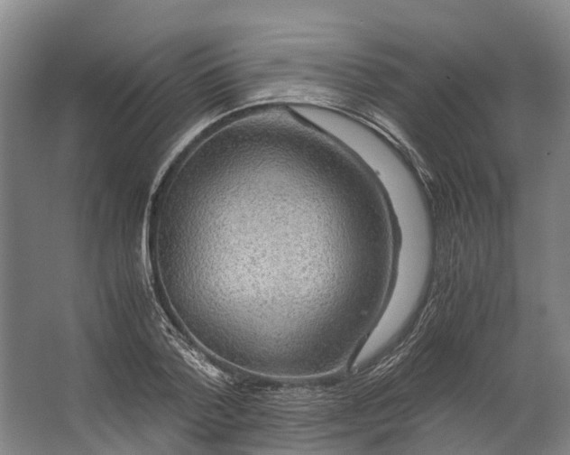 X0000062620788200601041004