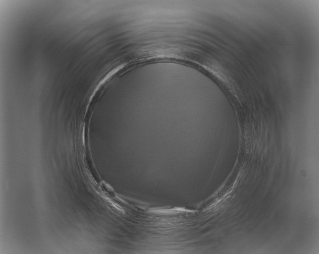 X0000062620790200601041004