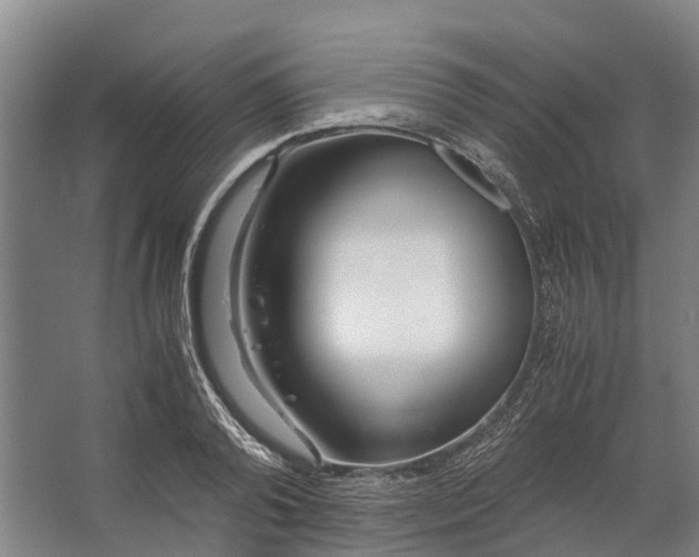 X0000062620792200601041004