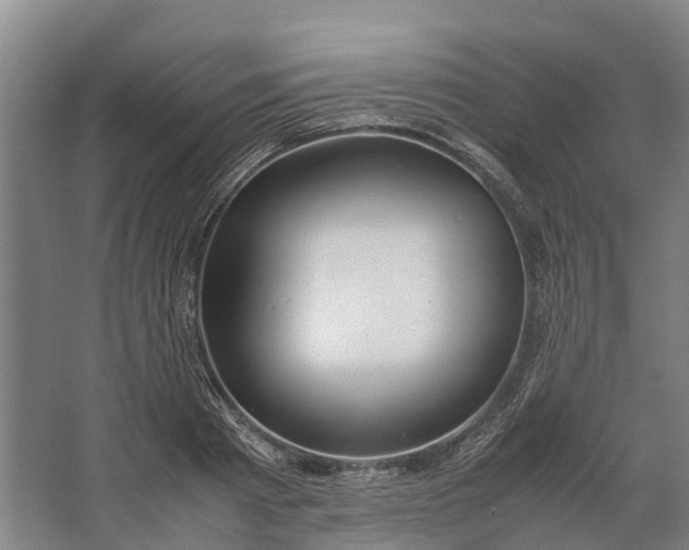 X0000062620793200601041004