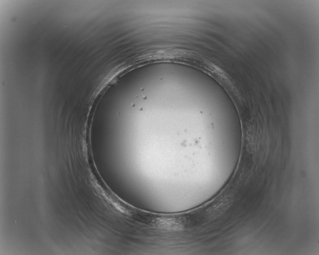 X0000062620794200601041004