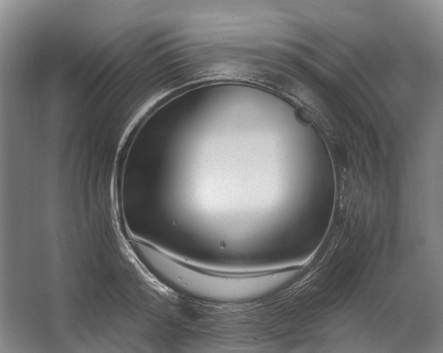 X0000062620796200601041004