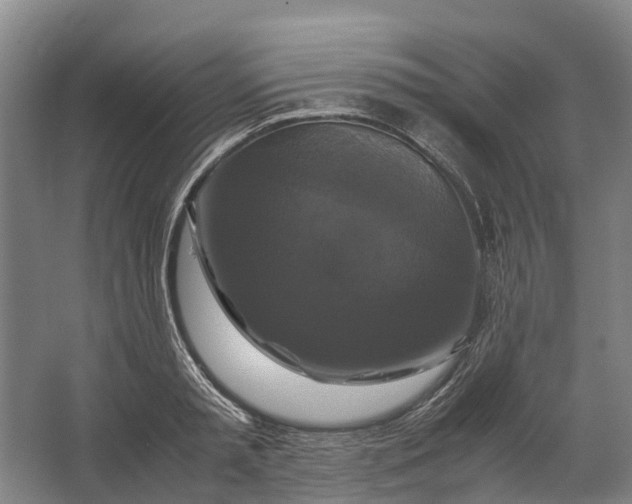 X0000062620797200601041004