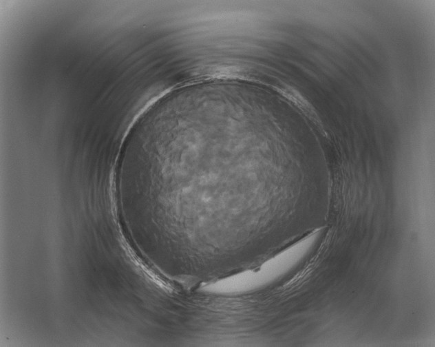 X0000062620798200601041004