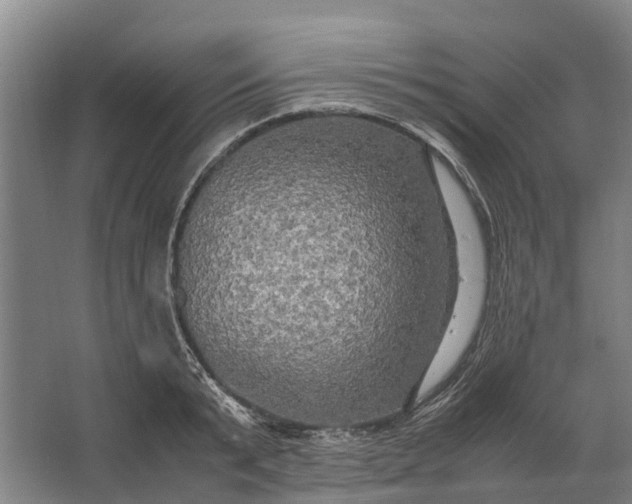 X0000062620799200601041004