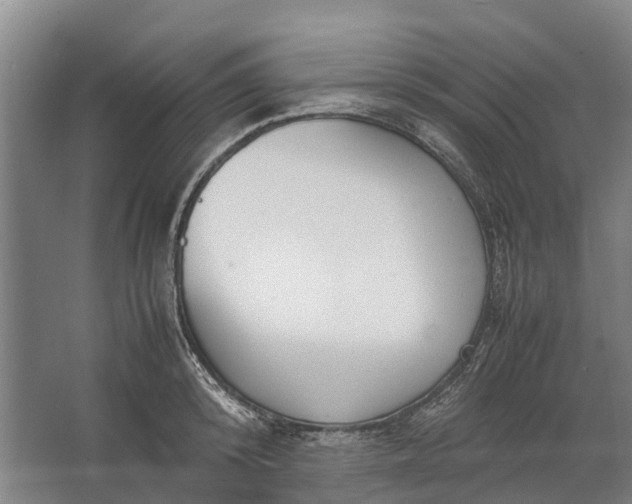 X0000062620800200601041004