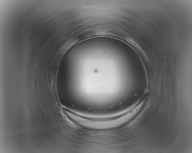 X0000062620801200601041004