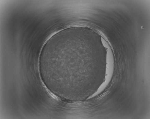 X0000062620803200601041004