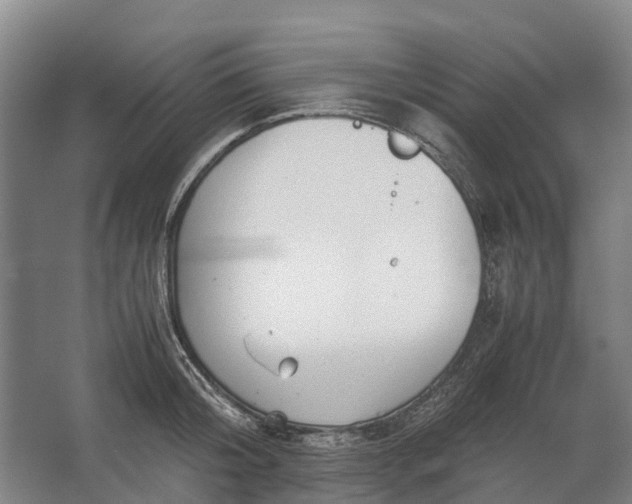 X0000062620804200601041004