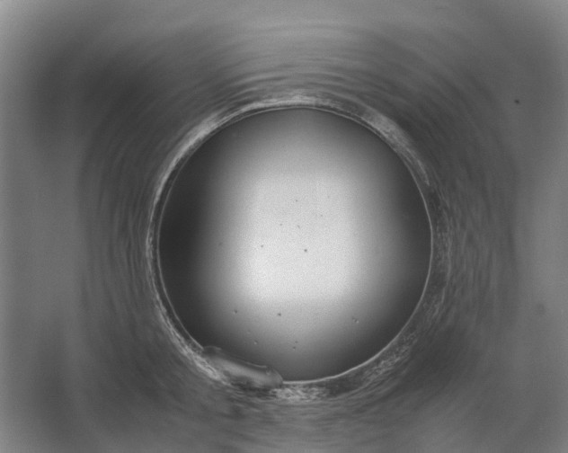 X0000062620805200601041004