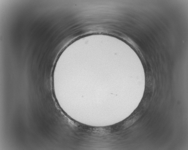 X0000062620807200601041004