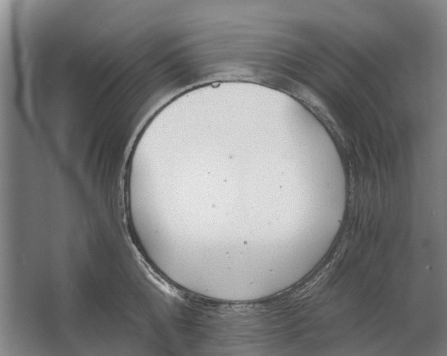 X0000062620808200601041003