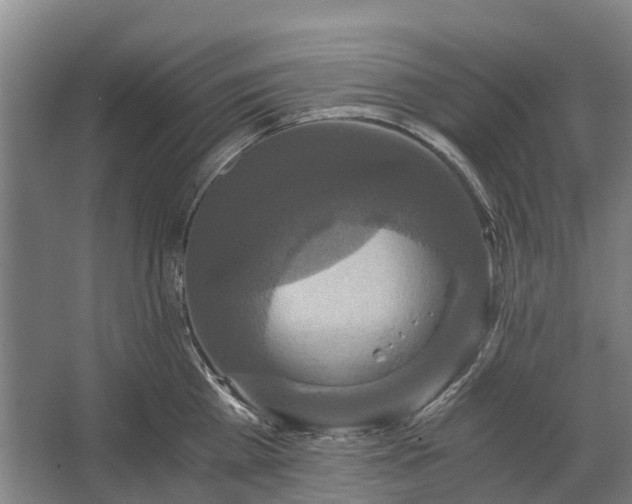 X0000062620809200601041003