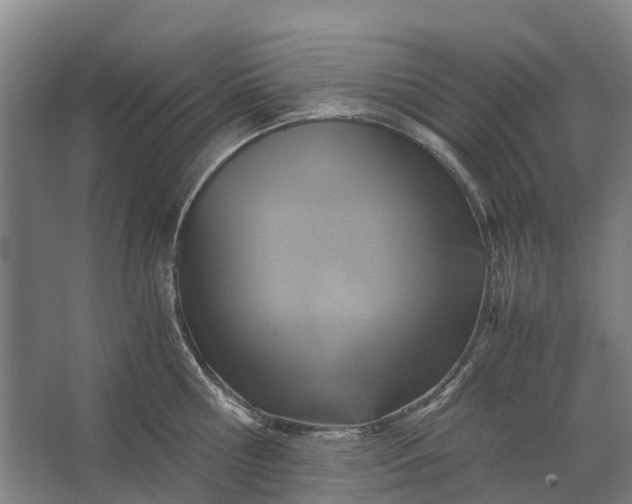 X0000062620810200601041003