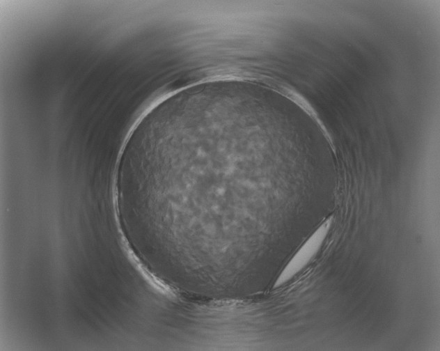 X0000062620811200601041003