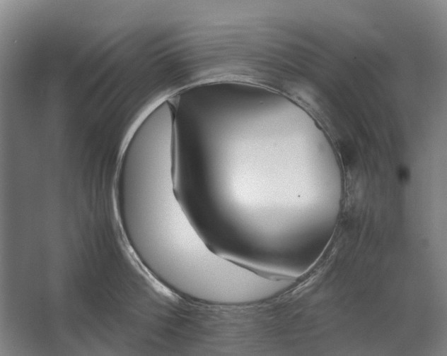 X0000062620812200601041003