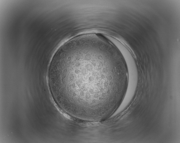 X0000062620813200601041003