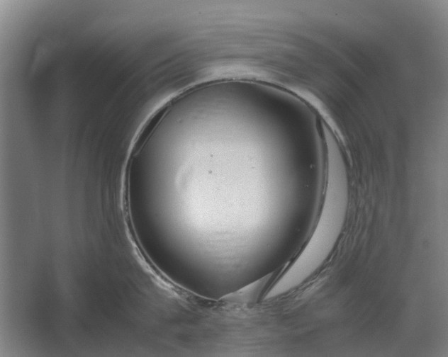 X0000062620815200601041003