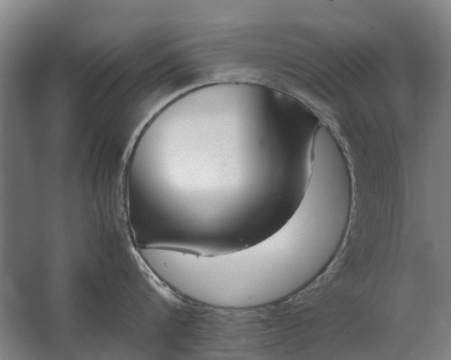 X0000062620816200601041003