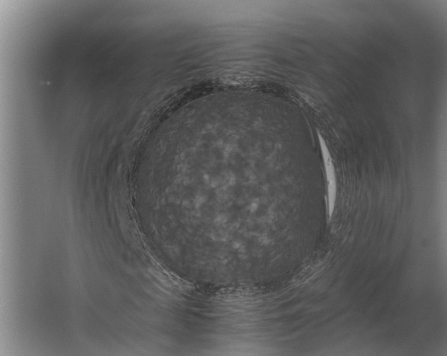 X0000062620817200601041003