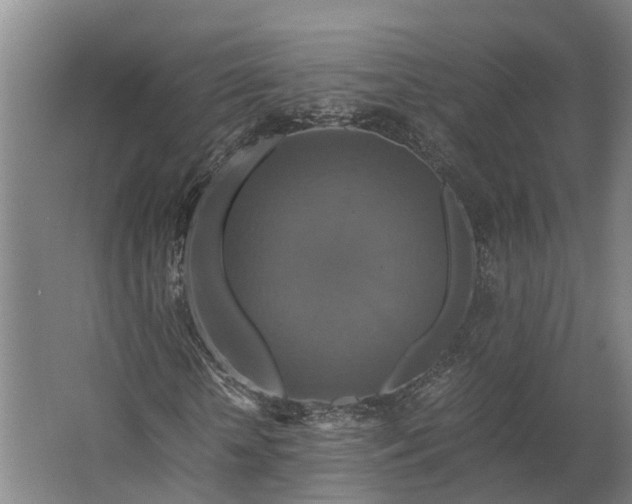 X0000062620818200601041003