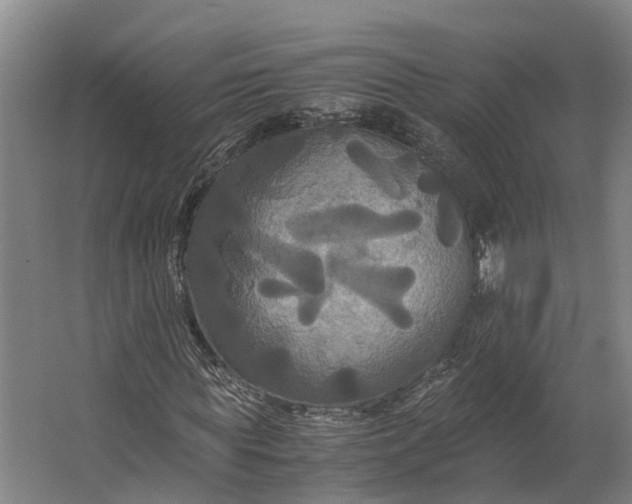 X0000062620819200601041003