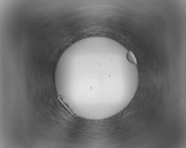 X0000062620820200601041003