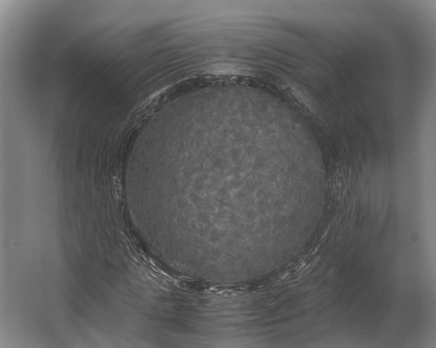 X0000062620821200601041003