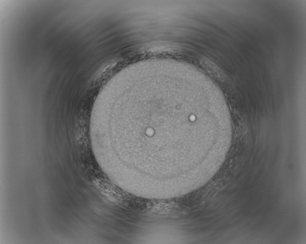 X0000062620824200601041003