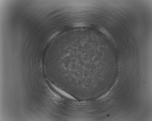 X0000062620825200601041003