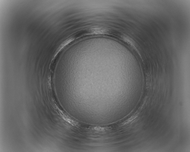 X0000062620827200601041003