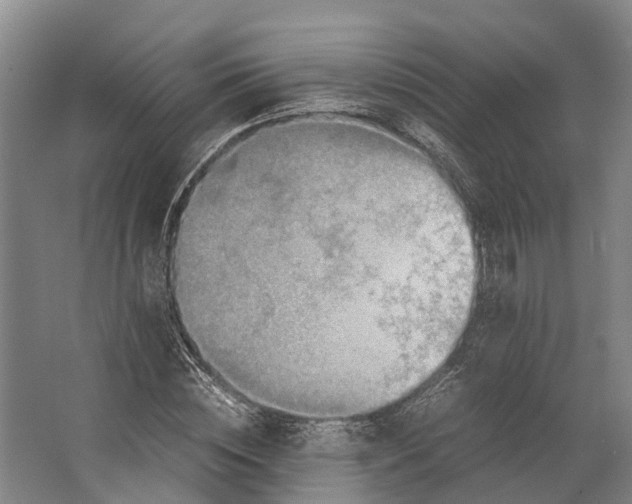 X0000062620828200601041003