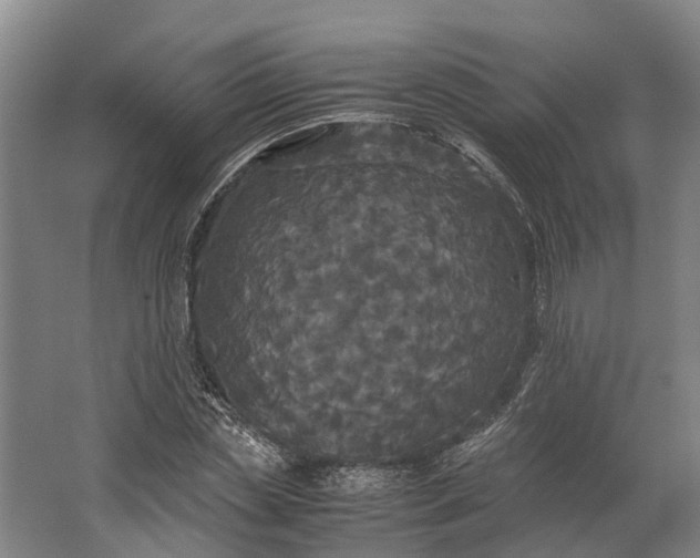 X0000062620829200601041003