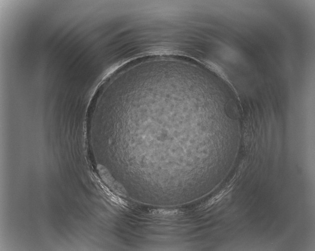 X0000062620831200601041003