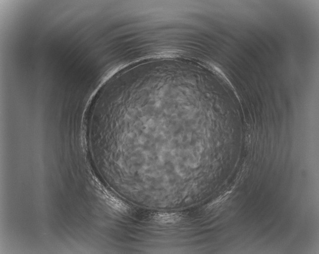 X0000062620835200601041003