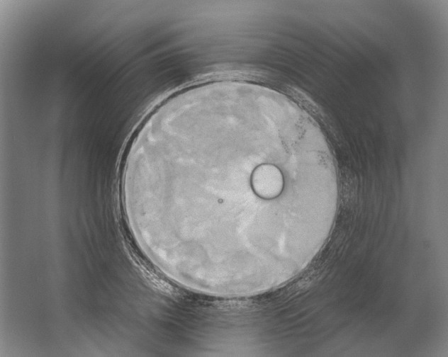 X0000062620836200601041003