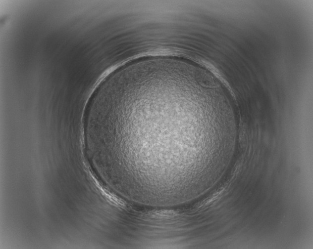 X0000062620837200601041003