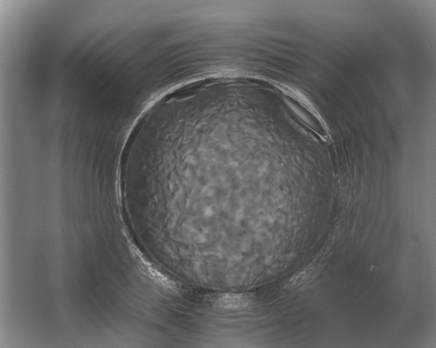 X0000062620839200601041003