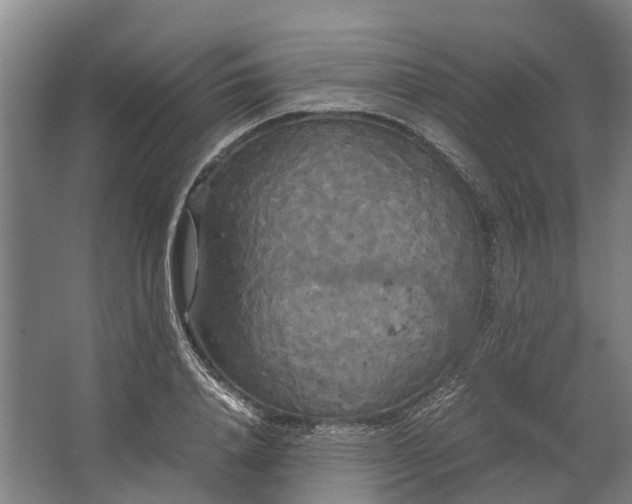 X0000062620840200601041003