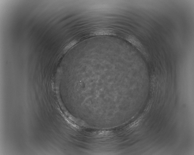 X0000062620841200601041003