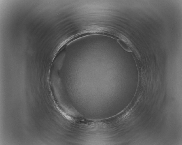 X0000062620842200601041003