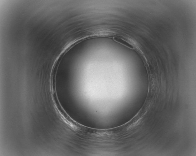 X0000062620843200601041003