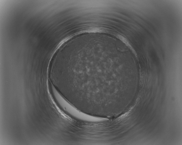 X0000062620845200601041003