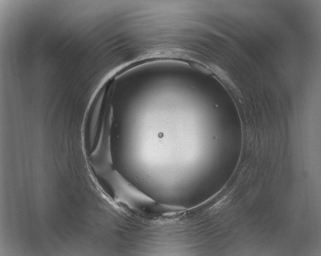 X0000062620846200601041003