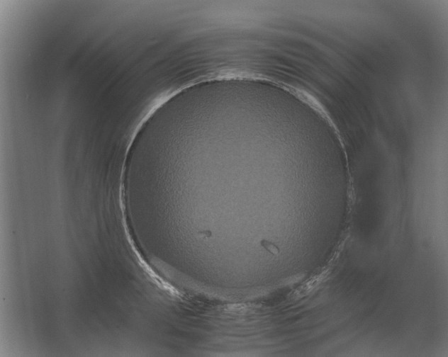 X0000062620847200601041003