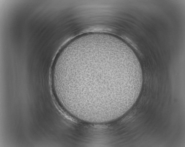 X0000062620848200601041003