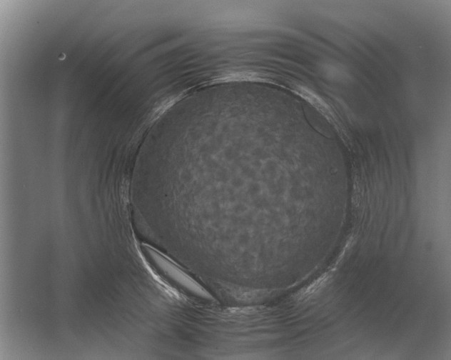 X0000062620849200601041003