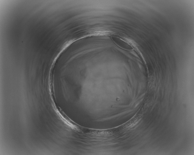 X0000062620851200601041003