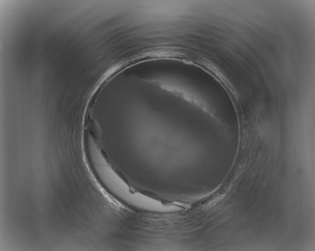 X0000062620853200601041003